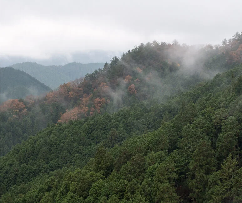 霧がかかる吉野の山並み